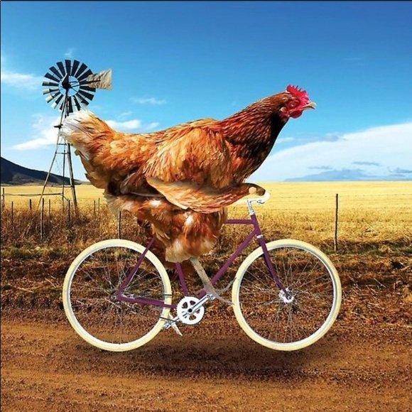 ♥️ TO BOOKMARK MY CLOSET - Picture 16 of 16